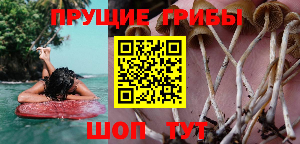 Псилоцибиновые грибы мухоморы Анапа
